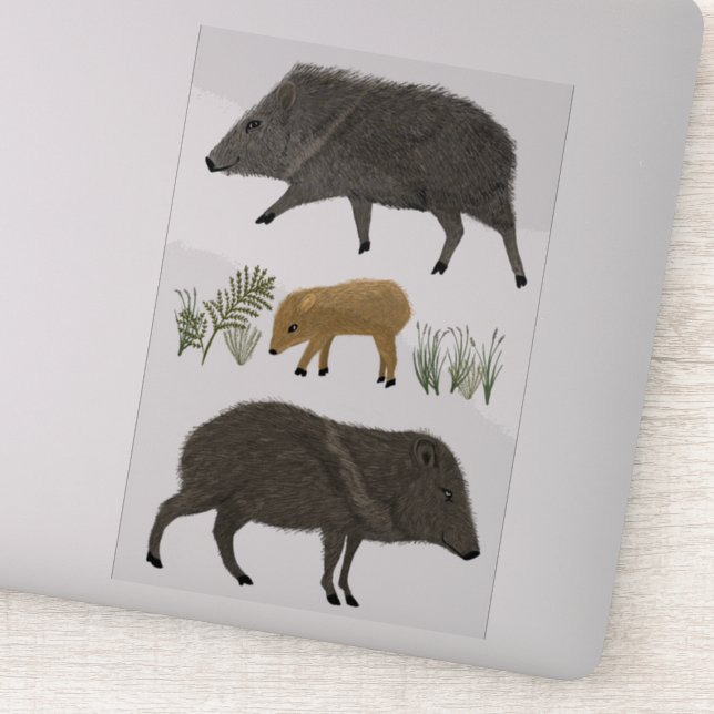 Javelina Family Desert Animals Coloured Pencil Art (Detail)