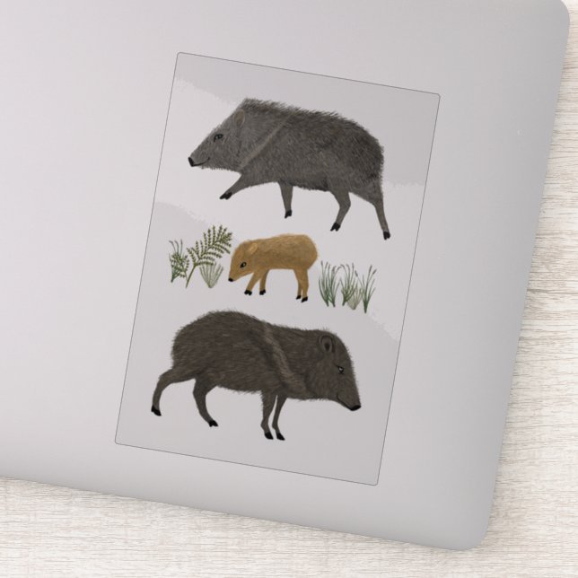 Javelina Family Portrait Coloured Pencil Art (Detail)