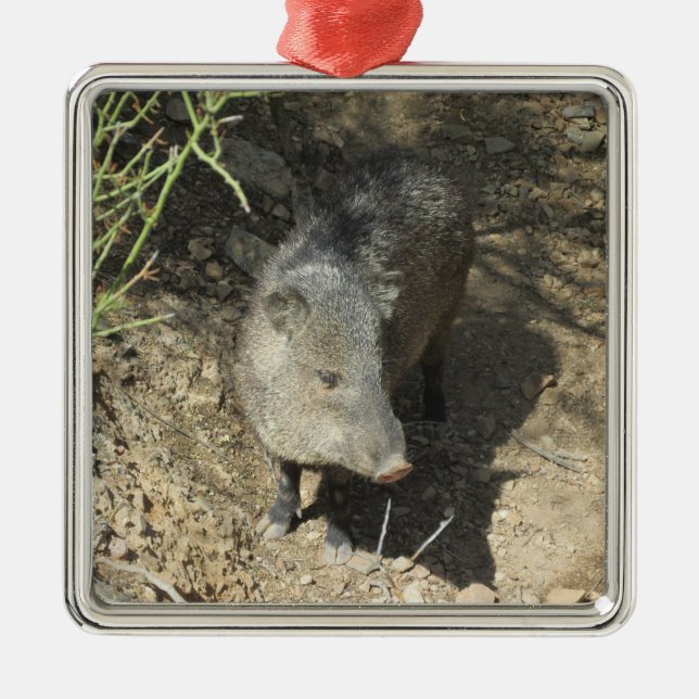 Javelina Metal Tree Decoration (Front)