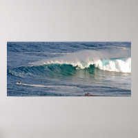 Jaws Inside Tube Poster
