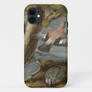 Jay, Green Woodpecker, Pigeons and Redstart, c.165 Case-Mate iPhone Case
