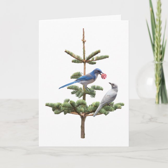 Jays Christmas Tree Card (Front)