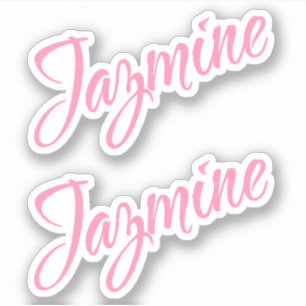 Jazmine Decorative Name in Pink x2 Sticker