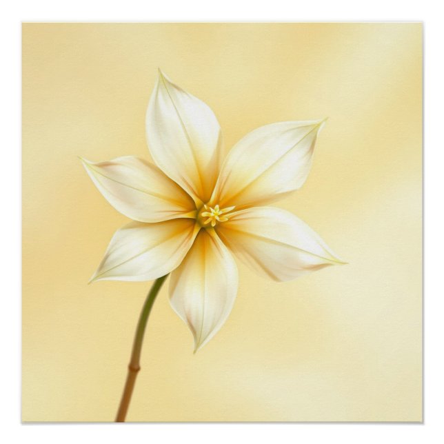 jazmine flower poster (Front)