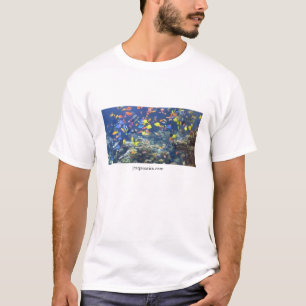 JC Aquatics T-Shirt