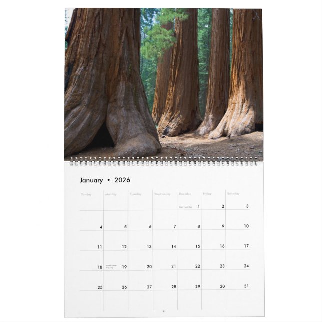 JCBPhotos.net 2010 version 1 Calendar (Jan 2026)