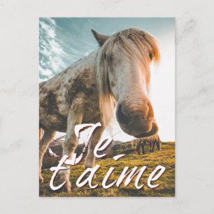 Je t'aime avec regardé cheva holiday postcard