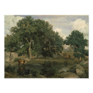Jean-Baptiste-Camille Corot - Forest Photo Print
