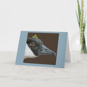 Jeb the Canada goose card