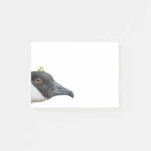 Jeb the Canada goose Post-it notes
