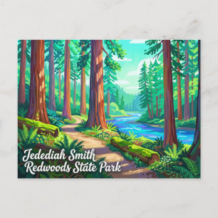 Jedediah Smith Redwoods State Park California Postcard