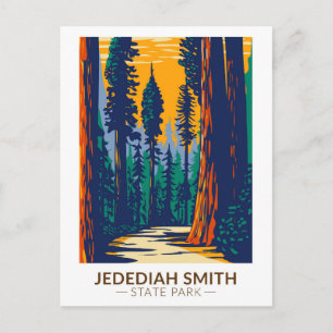 Jedediah Smith Redwoods State Park California Postcard