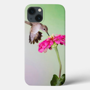 Jeff Davis County, Texas iPhone 13 Case