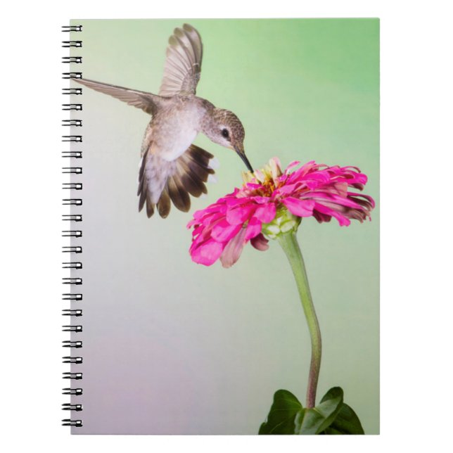 Jeff Davis County, Texas Spiral Notebook (Front)