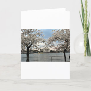 Jefferson Memorial Washington DC Cherry Blossoms Card