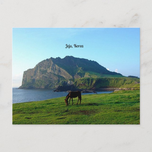 Jeju, Korea Postcard (Front)