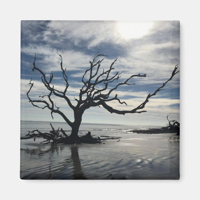 Jekyll Island Georgia Magnet (Front)