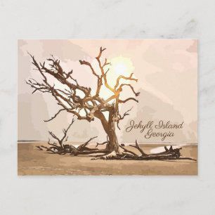 Jekyll Island Georgia Postcard