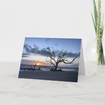 jekyll island sunrise card #1 (blank inside)
