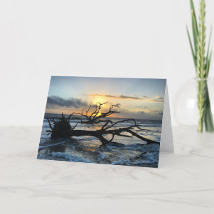 jekyll island sunrise card #3 (blank inside)