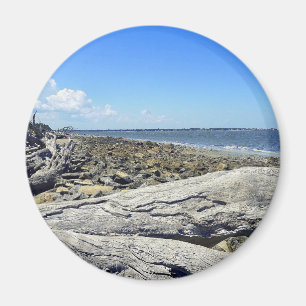Jekyll View Magnet
