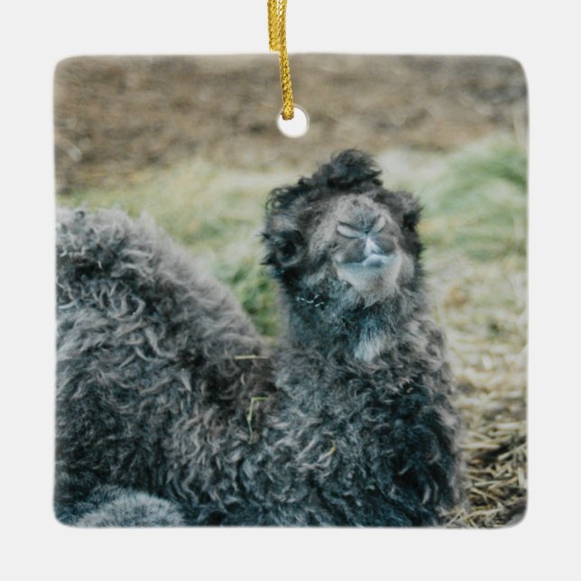 Jelly Baba Ceramic Ornament (Front)