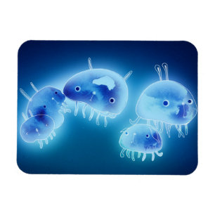 Jelly fish 2013 magnet