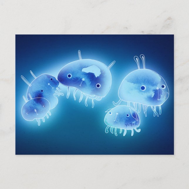 Jelly fish 2013 postcard (Front)