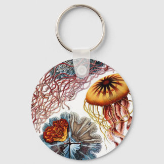 Jelly Fish by Ernst Haeckel Key Ring