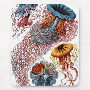 Jelly Fish by Ernst Haeckel Mouse Pad