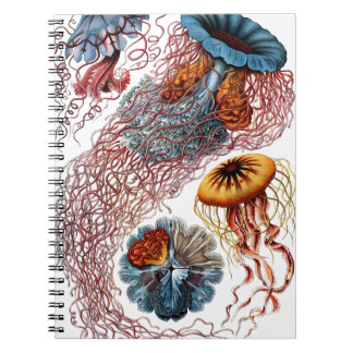 Jelly Fish by Ernst Haeckel Notebook