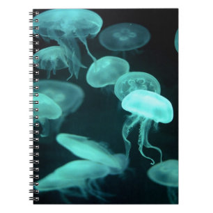 jelly fish glowing spiral notebook