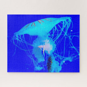 Jelly Fish Jigsaw Puzzle