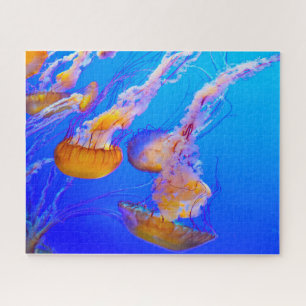 Jelly Fish Jigsaw Puzzle
