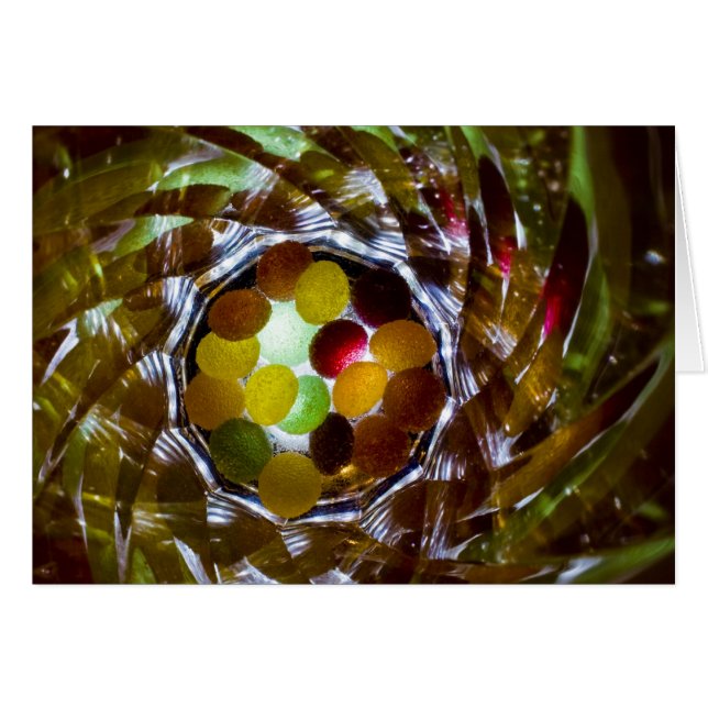 jelly tots 2 (Front Horizontal)