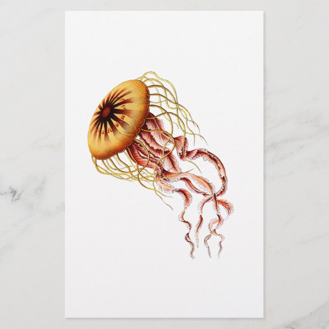 jellyfish (Front)