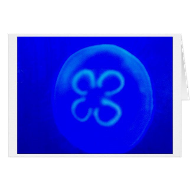 Jellyfish (Front Horizontal)