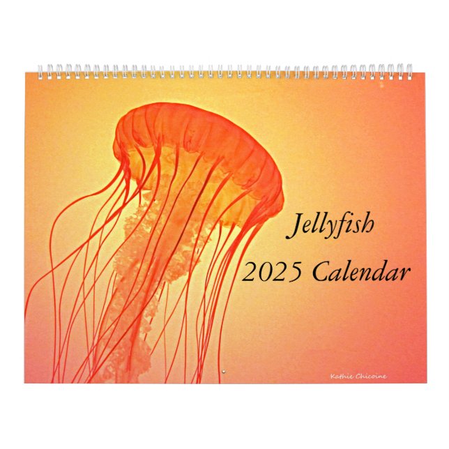 Jellyfish 2025 Calendar (Cover)