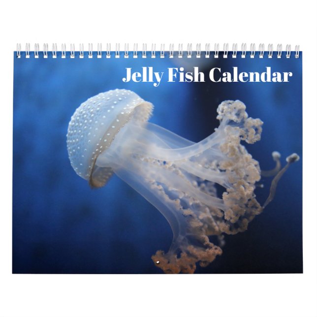 Jellyfish 2026 calendar (Cover)