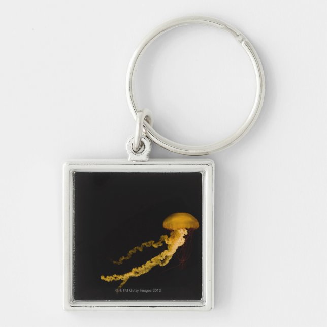Jellyfish 2 key ring (Front)