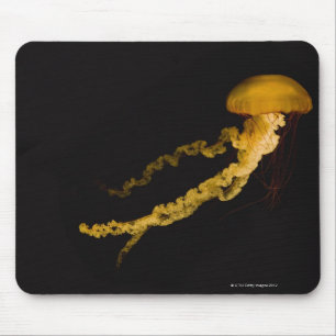 Jellyfish 2 mouse pad