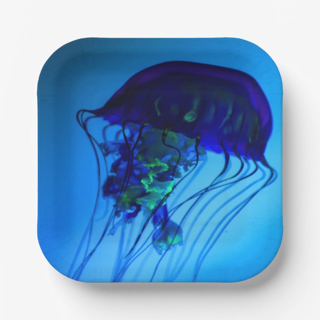 JELLYFISH 2   PAPER PLATE (Front)