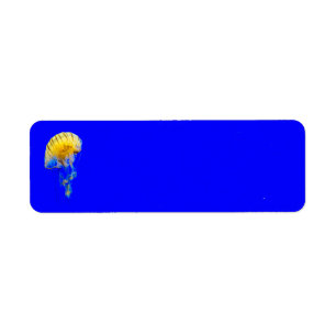 jellyfish-386680 BRIGHT ROYAL BLUE YELLOW COLORFUL