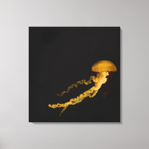 Jellyfish 3 canvas print