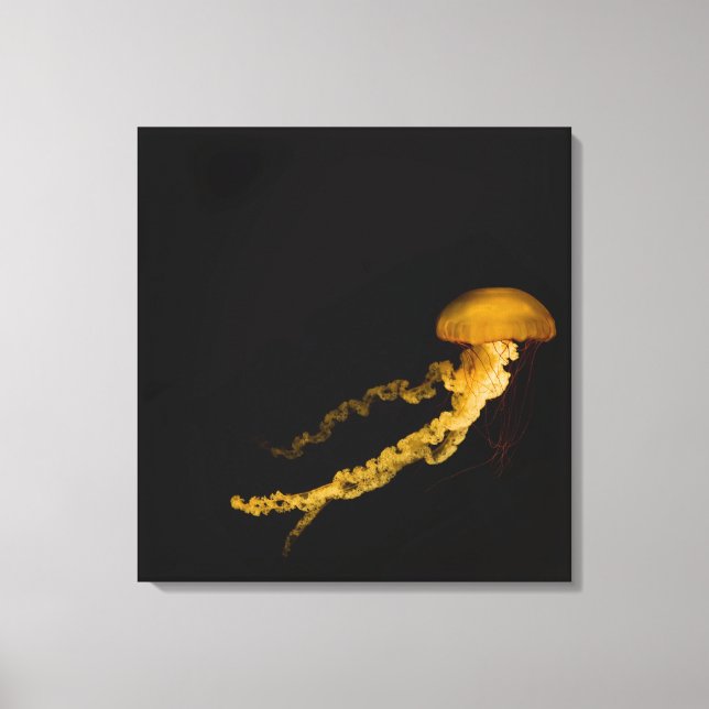 Jellyfish 3 canvas print (Front)