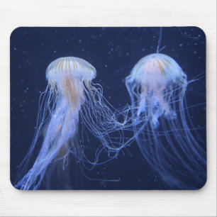 jellyfish, animal, underwater mouse pad