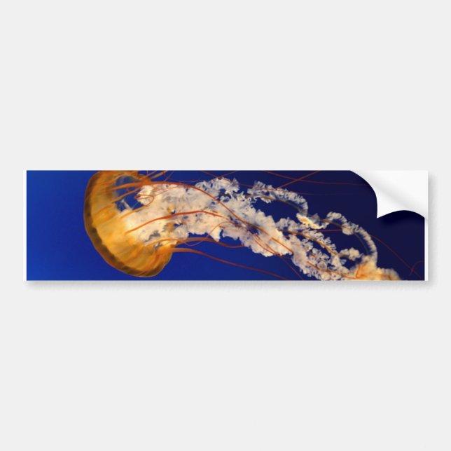 Jellyfish Bumper Sticker (Front)