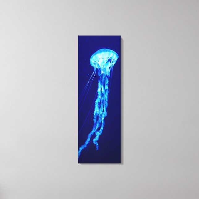 Jellyfish Canvas  Print (Front)
