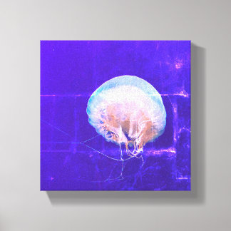 Jellyfish Canvas Print