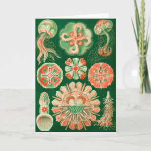 Jellyfish Card